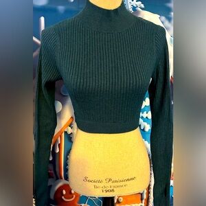 NWT Wild Fable XS sweater in peacock blue. Pull over your sleeveless dresses.